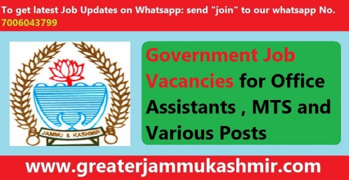 Govt National Institute of Electronics and Information Technology Job Vacancies