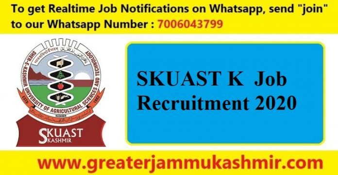 SKUAST K Job Recruitment 2020