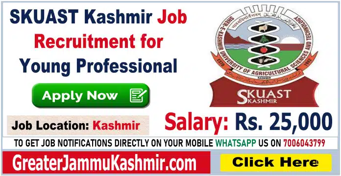SKUAST Kashmir Job Recruitment for Young Professional, Salary Rs. 25,000