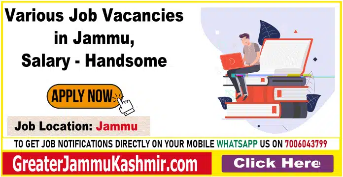 Various Job Vacancies in Jammu, Salary - Handsome