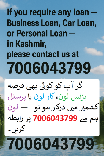 loan loan