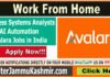 Business Systems Analyst - AI Automation