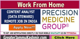CONTENT ANALYST (DATA STEWARD) – REMOTE JOB IN INDIA