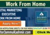 DIGITAL MARKETING EXECUTIVE – WORK FROM HOME DIGITAL MARKETING EXECUTIVE - WORK FROM HOME