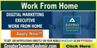 DIGITAL MARKETING EXECUTIVE - WORK FROM HOME