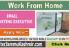 EMAIL MARKETING EXECUTIVE – Work from Home EMAIL MARKETING EXECUTIVE – Work from Home