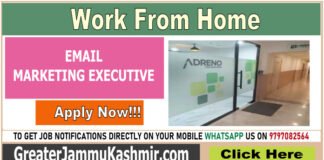 EMAIL MARKETING EXECUTIVE – Work from Home