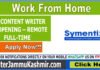 SEO CONTENT WRITER JOB OPENING