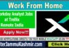 Sr Workday Analyst Jobs at Trellix - Remote India