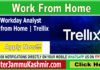 Sr Workday Analyst - Work from Home | Trellix