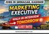 Canam Consultants- Marketing Executive Walk-in Interview in Srinagar
