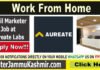 Email Marketer Job at Aureate Labs - Apply Now